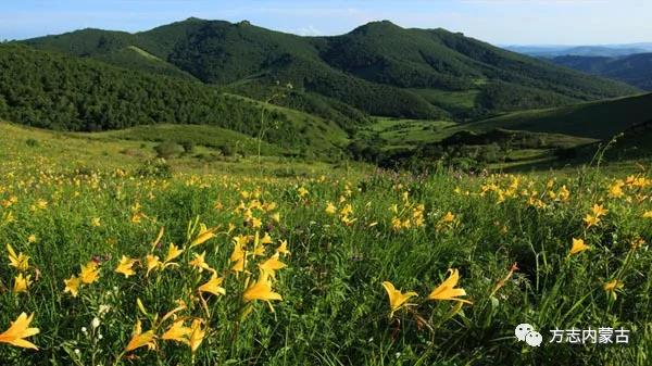 【城镇沿革】赤峰市阿鲁科尔沁旗（二）.jpg