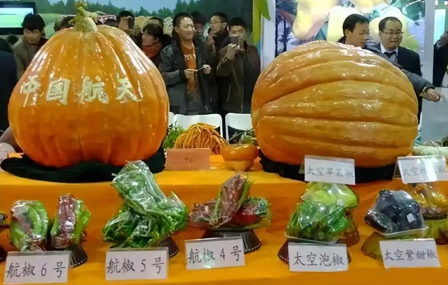 1751014038132370.png