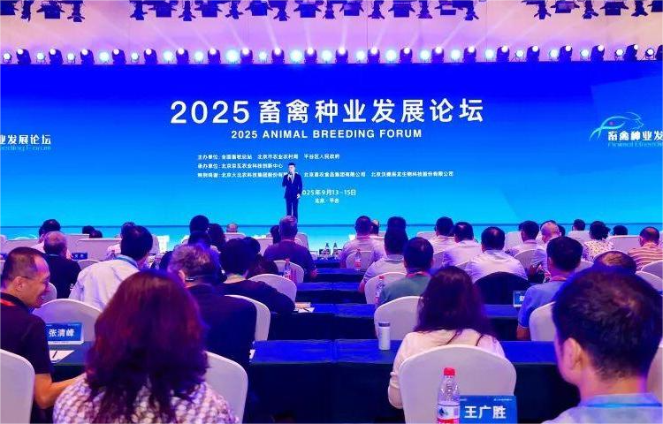 1760512092856633.png 图片1.png