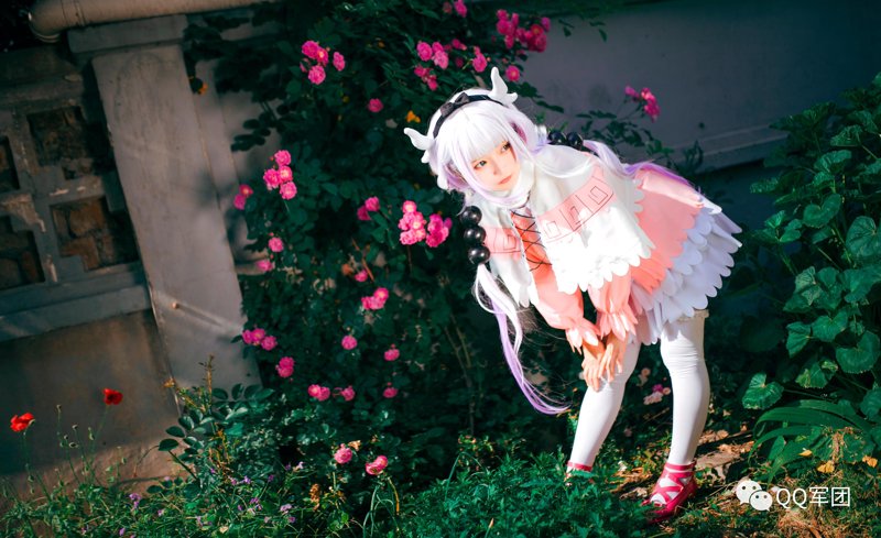 在二次元Cosplay领域，有这样一位角色以其独特的魅力吸引着无数粉丝的目光——他就是中银虎！今天我们就来盘点一下最能代表他的几个经典造型。